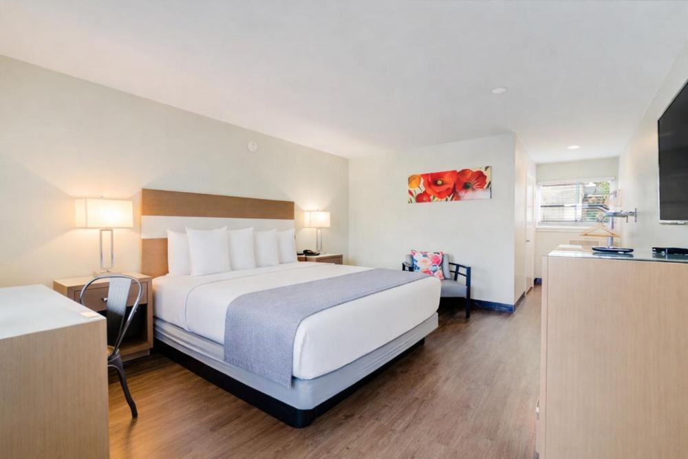 King Room - Disability Access interior